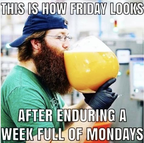 Celebrate the arrival of the weekend with these hilarious Friday memes. The end of the week is a perfect time to make someone laugh. #funny #memes #friday Funny Friday, Humour, Tgif Meme, Best Friday Quotes, Friday Memes, Tgif Funny, That Friday Feeling, Friday Pictures, Friday Meme