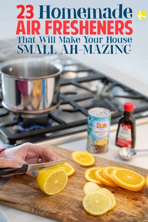 Make Your House Smell Amazing, Homemade Air Freshener, Potpourri Recipes, Clean Baking Pans, Diy Air Freshener, Home Air Fresheners, House Smell Good, Fresh Eucalyptus, Glass Cooktop