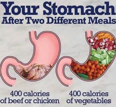 400 calories of meat vs 400 calories of veggies. Vegan Facts, Vegan Memes, Sport Nutrition, Vegan Quotes, Why Vegan, Food Memes, Vegan Inspiration, Vegan Living, Vegan Nutrition