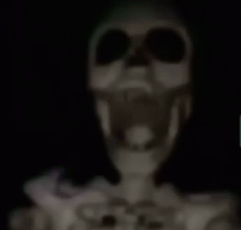 Skeleton GIF – Skeleton – discover and share GIFs Humour, Profile Picture Skeleton, Posed Skeleton, Girls Arching Back, Skeleton Gif, Skull Gif, Surprise Meme, Skeleton Memes, Skeleton Meme