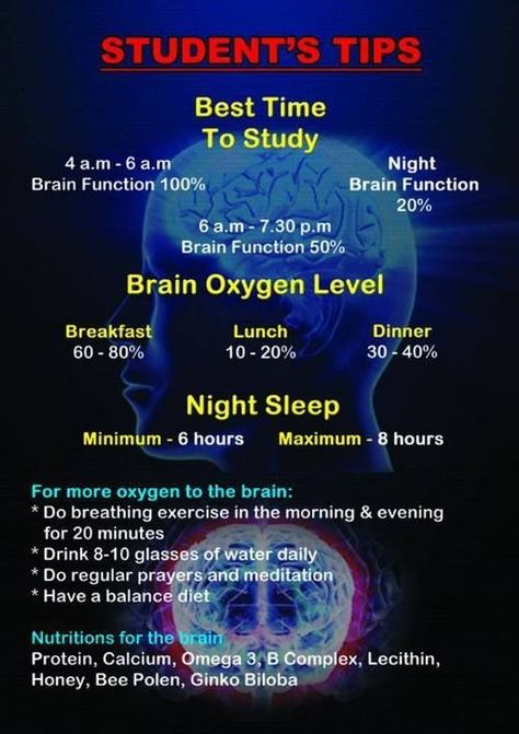 In order to perform your best as a student, follow these simple tips How To Study Early In The Morning, Best Time To Study In The Morning, Early Morning Study Tips, Early Morning Study Motivation, Night Study Tips, Early Morning Study, Best Time To Study, Studie Hacks, Tatabahasa Inggeris