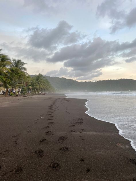 Costa Rica, Cartagena, Jaco, Aesthetic Horse Riding, Jaco Costa Rica, Cost Rica, Costa Rica Beaches, Visit Costa Rica, Adventure Inspiration