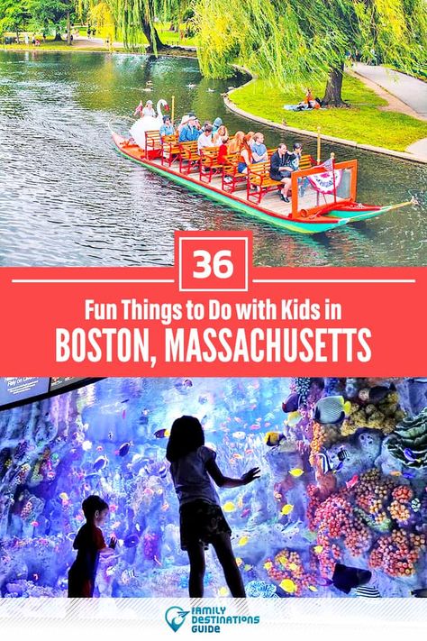 Boston Family Vacation, Usa Vacation Destinations, Boston Activities, Boston With Kids, Boston Summer, Boston Travel Guide, Boston Vacation, New England Aquarium, Things To Do In Boston