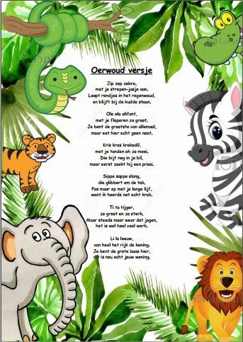 Jungle Animals Preschool, Animal Pictures For Kids, Jungle Theme Classroom, Jungle Thema, African Jungle, Rumble In The Jungle, Class Displays, Safari Jungle, Kindergarten Crafts