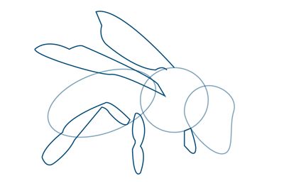 Croquis, Draw A Bee, Honey Bee Drawing, Bee Sketch, Bee Artwork, Sketchbook Challenge, Bumble Bee Art, Easy Step By Step Drawing, Bee Drawing