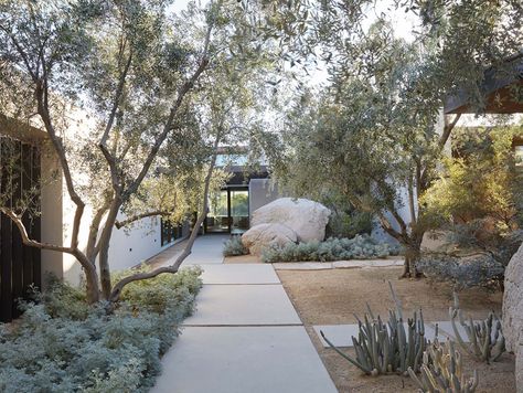 Modern Landscaping, Dry Garden, California Vacation, Desert Garden, Mediterranean Garden, Native Garden, Desert Landscaping, Front Garden, Outdoor Design