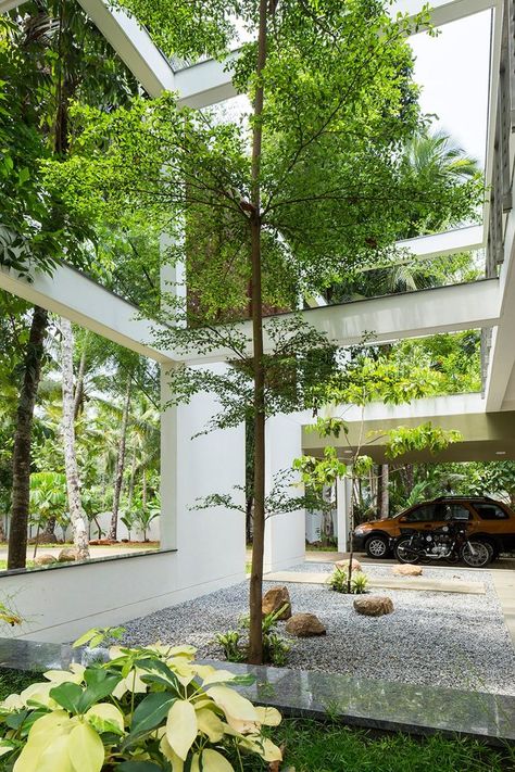 LIJO RENY regimented house#garden #contemporary#gardenideas Interior Garden, Board House, Indoor Courtyard, Courtyard Design, Internal Courtyard, Concrete House, Patio Interior, Courtyard House, Tropical Houses