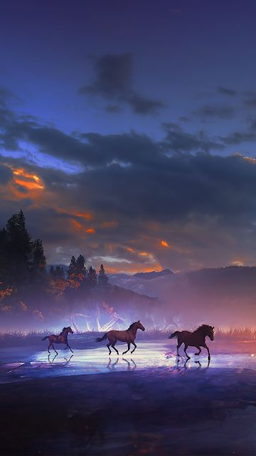 12 amazing phone wallpapers Shine Wallpaper, Wallpaper Desktop Hd, Cool Wallpapers For Girls, Horse Background, Infinity Wallpaper, Horses Art, Beautiful Horses Photography, Warriors Wallpaper, Beautiful Wallpapers For Iphone