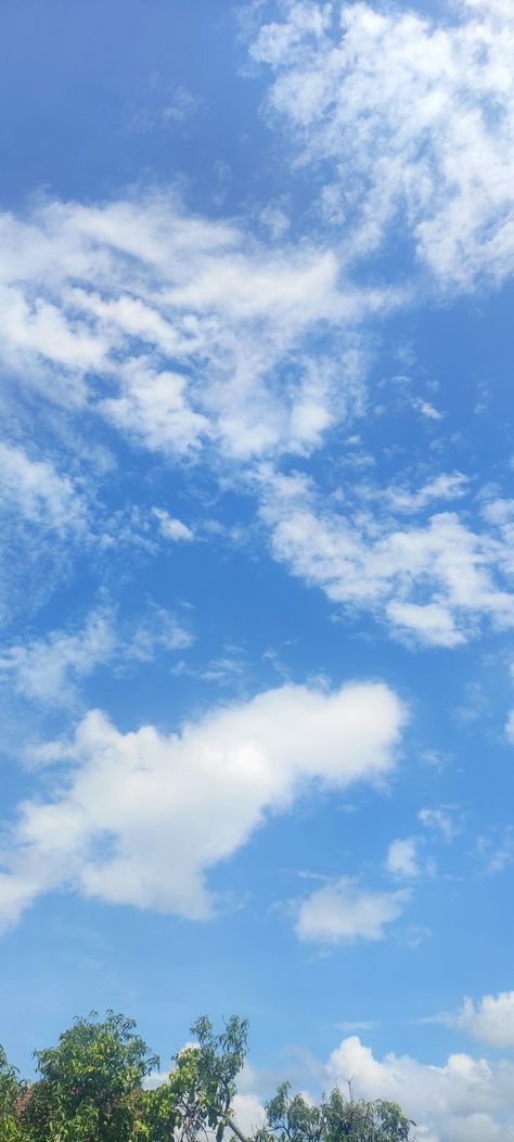 Blue Sky With Clouds And Trees Nature, Evening Blue Sky, Sky And Clouds Wallpaper, Clouds Images, Paige Halliwell, Blue Sky Images, Weather Wallpaper, Blue Cloudy Sky, Cloudy Blue Sky