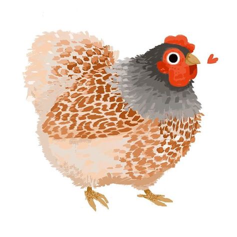 Stephanie Soderberg (@sodapop.draws) • Instagram photos and videos Cute Hen Drawing, Hen Drawing, Chicken Drawing, Chicken Illustration, Chicken Painting, Cute Animal Illustration, Cute Chickens, Chicken Art, Wow Art