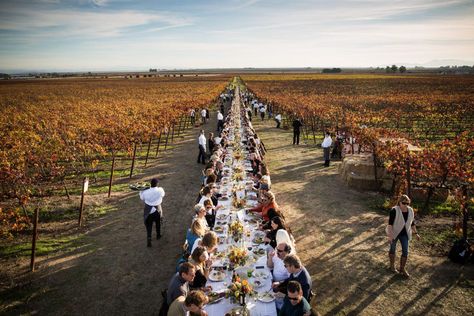 “Farm to table” has become so ubiquitous that’s it’s boring. What is exciting, though, is the growing trend of alfresco dinners in the gardens and vineyards that produced their ingredients. Nature, Weekend Getaways, Outstanding In The Field, Pop Up Dinner, Outdoor Dinner, Farm Tour, Visit California, Farm Table, Wine Country