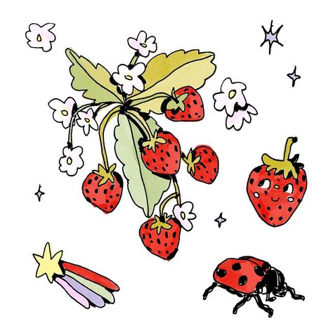 63/100 A summery illustration 🍓✨🐞 Drawn in my sketchbook and colored in procreate! Swipe for process and a photo of the sketchbook page.… | Instagram Sketchbook Pages, Best Drawing Pens, Cottage Core Art, Artsy Girl, Sketchbook Page, The Sketchbook, Summer Illustration, Iris Flower, My Sketchbook