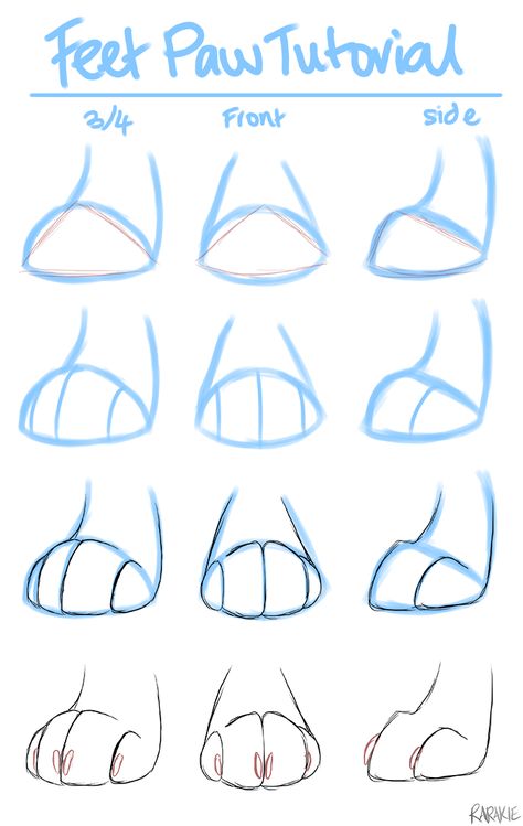 Wolf Legs Drawing, Shark Tail Drawing Reference, Wolf And Human Drawing Base, Cat Hind Leg Reference, Animal Snout Reference, Paws Art Reference, Dog Snout Drawing, Animal Paws Drawing, Maned Wolf Drawing Reference