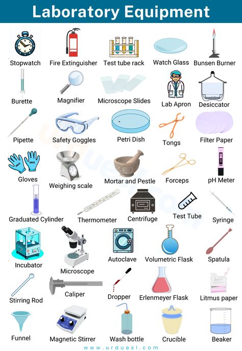 image with various Lab equipment names and pictures Science Laboratory Equipment, Common Laboratory Equipment, Science Laboratory Apparatus, Biology Lab Equipment, Laboratory Equipments And Uses, Laboratory Apparatus And Their Uses, Clinical Chemistry Laboratory, Science Laboratory Aesthetic, Lab Technician Aesthetic