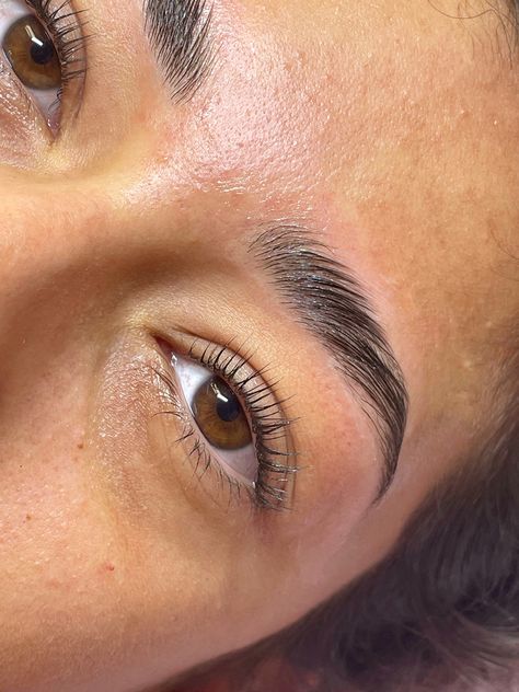 Lash lift and brow combination Natural Lash Aesthetic, Brow And Lash Lamination, Brow Stylist Aesthetic, Brow Wax Aesthetic, Brow Lamination Aesthetic, Lash Lift Aesthetic, Lash And Brow Lift, Lift Aesthetics, Brows Lift