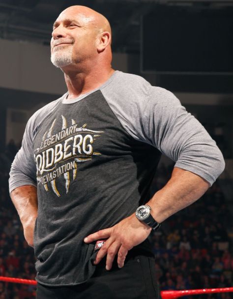 Arnold Schwarzenegger, Wwe, Goldberg Wrestler, Bill Goldberg, Bald Men, Wwe Wrestlers, Roman Reigns, Wwe Superstars, Reign