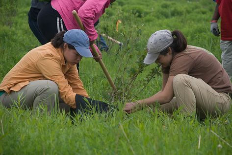 Philippines' New Law Requires Students To Plant 10 Trees If They Wish To Graduate Environmental Activism, Law Students, New Student, School Fees, Environmental Change, World Of Tomorrow, India School, Mission Accomplished, Green Planet