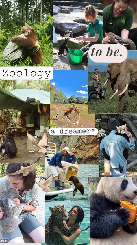 These Animals Were Born With Very Unique Markings That Set Them Apart Zoologist Aesthetic Wallpaper, Vet School Outfits, Animal Career Aesthetic, Studying Zoology Aesthetic, Zoology Aesthetic Wallpaper, Wildlife Veterinarian Aesthetic, Zoology Wallpaper, Zookeeper Aesthetic, Wildlife Biologist Aesthetic