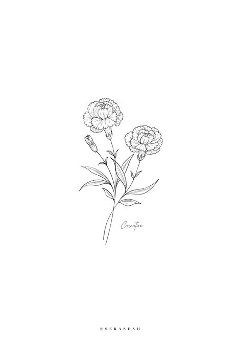 Jan Birth Flower, Carnation Flower Tattoo Small, Carnation Tattoo Design, January Tattoo Ideas, Carnations Tattoo, Carnation Flower Drawing, January Flower Tattoo, Carnation Illustration, Ramo Tattoo