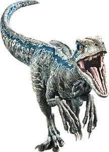 Blue | Jurassic Park wiki | FANDOM powered by Wikia Jurassic Park Blue Raptors, Blue Velociraptor, Blue Raptor, Velociraptor Blue, Jurassic Park Raptor, Blue Jurassic World, Jurassic Park Movie, Dinosaur Tattoos, Fallen Kingdom