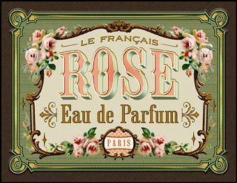 Western Fonts, Victorian Lettering, Alfabet Font, Perfume Label, Sign Fonts, Etiquette Vintage, Hand Lettering Inspiration, Vintage Packaging, Creative Fonts