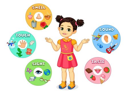Five Senses Chart, Human Clipart, Concrete And Abstract Nouns, Five Senses Preschool, 5 Senses Activities, Senses Preschool, Senses Activities, Birthday Charts, School Images