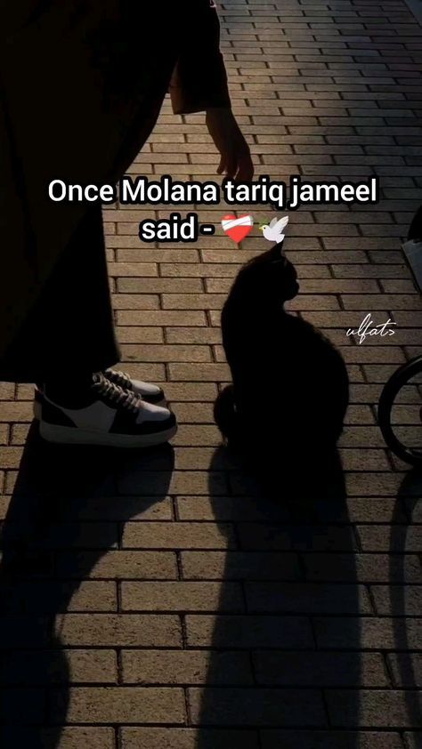 Tariq Jameel Quotes, Molana Tariq Jameel, Inspirational Quotes In Urdu, Tariq Jameel, Qur'an Photography, Clever Captions For Instagram, Best Friend Thoughts, Look Up Quotes, Islamic Nasheed