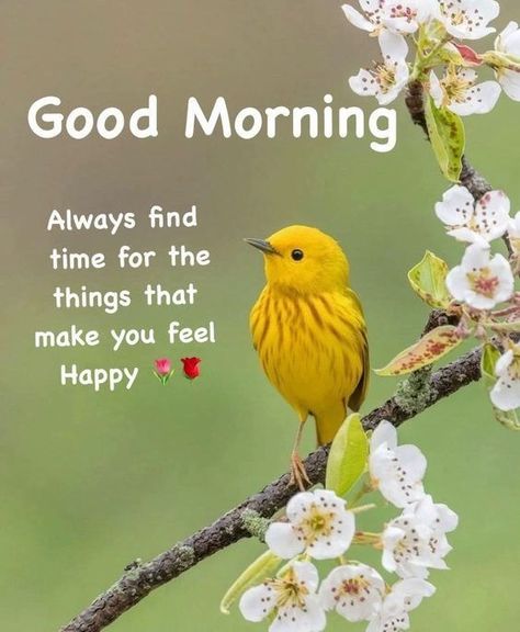 Positive Good Morning Quotes And Images 120 Good Morning Birds Images, Good Morning Sunday Images, Lovely Good Morning Images, Good Morning Greeting Cards, Positive Good Morning Quotes, Beautiful Morning Quotes, Good Morning Sunshine Quotes, Cute Good Morning Images, Good Morning Flowers Quotes