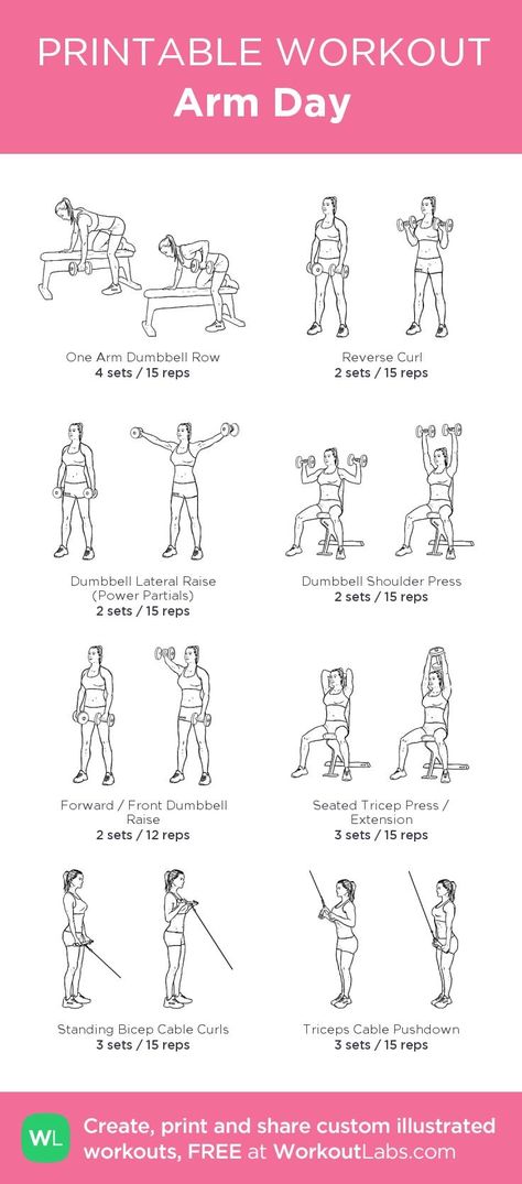 Arm Workout No Equipment, Arm Day Workout, Arm Workout Gym, Arm Workout For Beginners, Workout Gym Routine, Fitness Studio Training, Tone Arms Workout, Arm Workouts At Home, Gym Plan