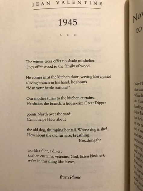 From "THE BEST AMERICAN POETRY|2013" Poetry, American Poetry, Kitchen Doors, Winter Trees, Old Dogs, Good American, His Hands, Old Things, Turn Ons