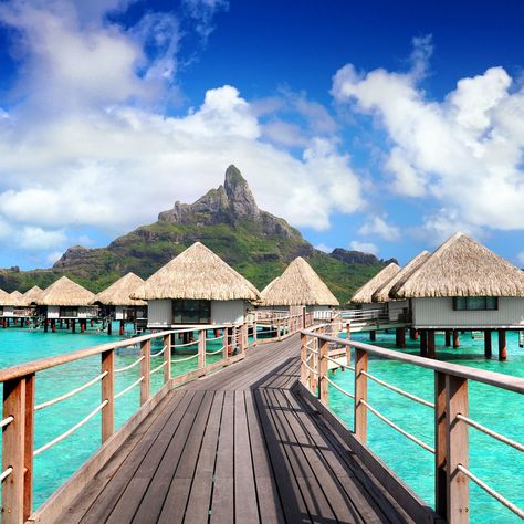 Out of bed and into the water—the way life should be. | Originally published by Travel + Leisure Bora Bora Vacation, Bora Bora Honeymoon, Costco Travel, Bora Bora Resorts, Water Bungalow, Le Meridien, Stunning Hotels, Honeymoon Resorts, Fiji Islands