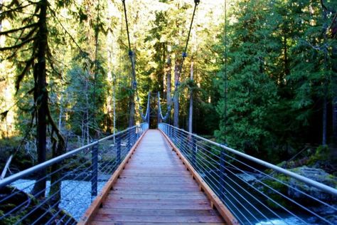 Nature, Hood Canal Washington, Olympic National Forest, Hood Canal, Wa State, Hiking Destinations, Olympic Peninsula, Olympic National Park, Day Hike