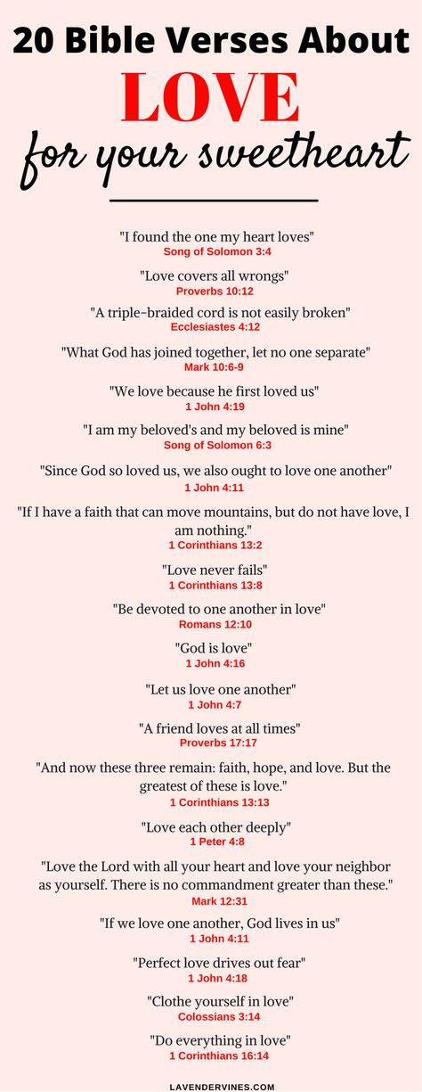 You, me, our children, and bigger family - like a fifty-braided cord. Also, I believe wholeheartedly, with all my being, my Lord's words that "what God has joined, let no man separate." You are mine and I am yours and I will be with you until we are old and stupid...er. Wedding Bible Quotes, Relationship Verses, Marriage Bible Verses, Popular Bible Verses, Tattoo Quotes About Strength, Quotes About Strength And Love, Quotes Faith, Verses About Love, Bible Verses About Love