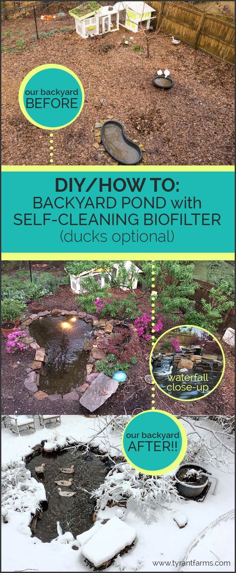 DIY/How To: Build a backyard pond with a self-cleaning biofilter Permaculture, Backyard Ducks, Backyard Pond, Duck House, Diy Pond, Duck Pond, Building A Chicken Coop, Backyard Farming, Ponds Backyard