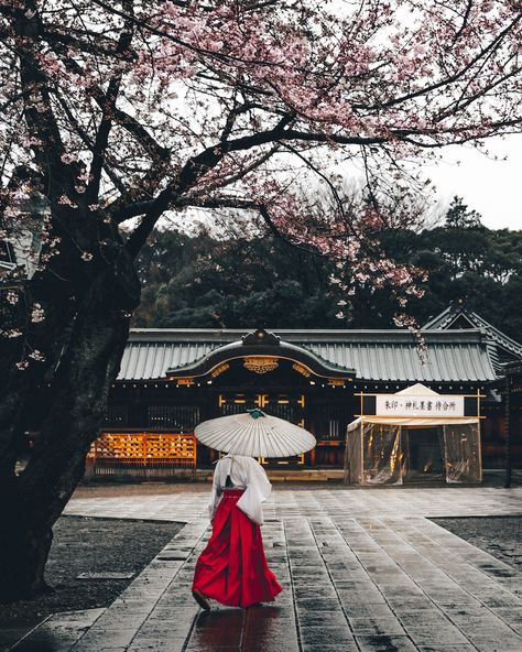 Yasukuni Shrine, Chiba, Tokyo Japan, Japan Travel, Monte Fuji, Japan Photography, Japan Culture, Japanese Culture, Places Around The World