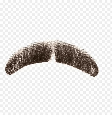 Mustache Png, Beard Png, French Mustache, Horseshoe Mustache, Fake Moustache, Meme Png, Realistic Costumes, Fake Mustache, Beard Costume