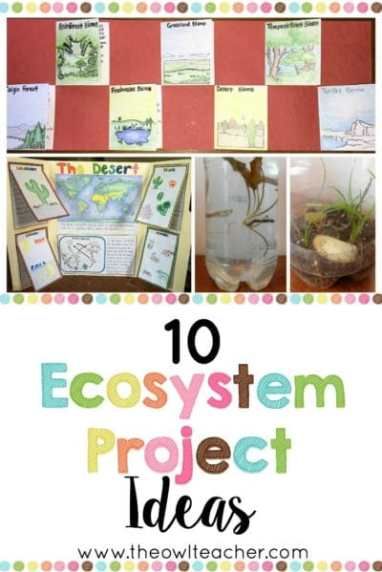 Engage your students with these 10 ecosystem project ideas for your elementary science class and grab a FREEBIE to get started! Ecosystem Project Ideas, Teaching Ecosystems, Ecosystem Project, Ecosystem Activities, Biomes Project, Ecology Projects, Ecosystems Projects, Science Computer, Engineering Books