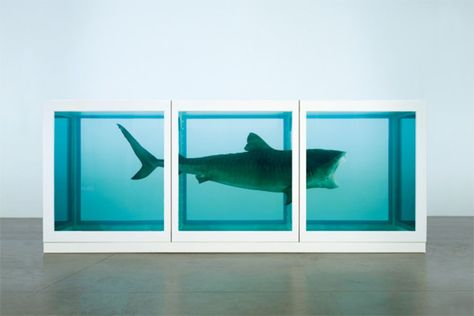 Hirst Arts, غلاف الكتاب, Shark Art, Famous Artwork, Damien Hirst, A Level Art, Art Practice, Art Abstrait, British Artist