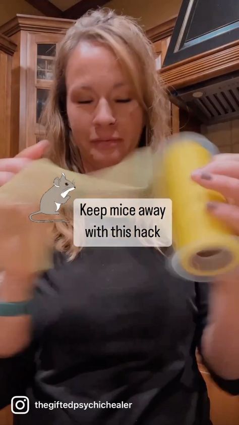 Crystal Camp Kravtsov | Use these ingredients to help keep mice away. I used a roll of tulle, but you can use those party bags too. Add together 1 tbsp of red… | Instagram Mouse Repellent Bags, Whole Cloves Uses, Deter Mice, Diy Mice Repellent, Diy Window Cleaner, Mouse Bags, Keep Mice Away, How To Deter Mice, Mice Infestation