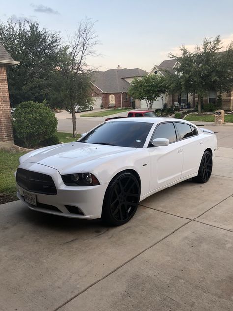 2013 hemi charger on viper replica 24s 2010 Dodge Charger Sxt, Dodge Charger 2011-2014, 2013 Dodge Charger Rt, 2012 Charger, 2009 Dodge Charger, 2008 Dodge Charger, 2016 Dodge Charger, 2013 Camaro, 2012 Dodge Charger