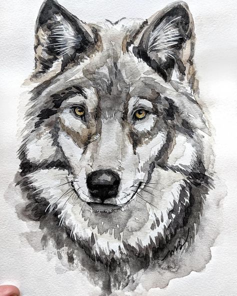 Wolf Watercolor Painting, Wolf Watercolor, Animal Watercolour, Wolf Sketch, Watercolor Wolf, Crazy Tattoos, Animal Tattoo Ideas, Wildlife Painting, Wolf Artwork