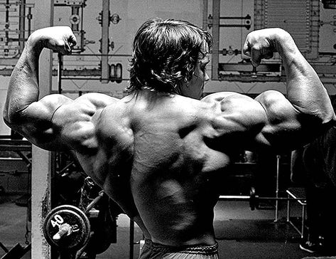 @bodybuilding70s on Instagram: “@schwarzenegger” Arnold Schwarzenegger, Dedication Page, Arnold Schwarzenegger Bodybuilding, Schwarzenegger Bodybuilding, Perfect Physique, Pumping Iron, 80s Aesthetic, Bodybuilding Fitness, Beachbody On Demand
