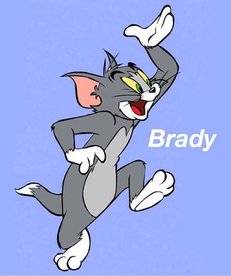 Tom Brady Tom From Tom And Jerry, Tom A Jerry, Tom And Jerry Wallpapers, Tom E Jerry, William Hanna, Mickey Mouse Images, Tom And Jerry Cartoon, Disney Toms, Tom Y Jerry