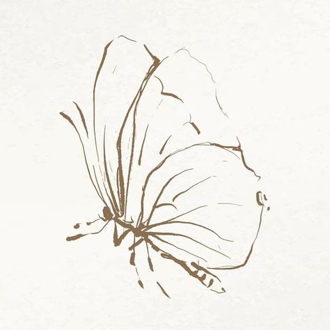 Image Of Butterfly, Butterfly Doodle, Vintage Public Domain, Minimal Branding Design, Illustration Butterfly, Butterfly Line Art, Moth Drawing, About Butterfly, Butterfly Aesthetic