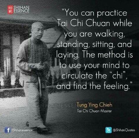 Jiu Jitsu, Qui Gong, Learn Tai Chi, Chi Flow, Tai Chi For Beginners, Martial Arts Quotes, Chi Gong, Tai Chi Exercise, Tai Chi Qigong