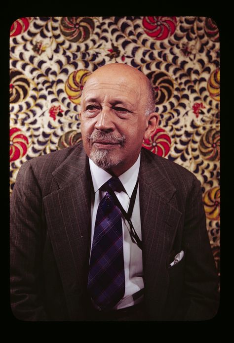 W. E. B. Du Bois Web Dubois, W E B Dubois, Zora Neale Hurston, African Diaspora, Black Pride, African American Art, Black American, Black Excellence, Black Culture