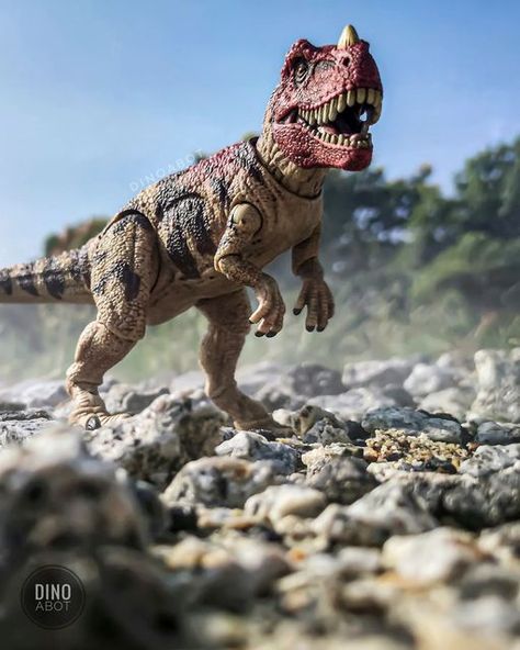 Dinosaur Art by ABOT on Instagram: "*Gulp!* A CERATOSAURUS FOLLOWING ME! 😨 - I can officially say, this is my first @mattel figure photoshoot! If you know me well, I usually prefer seamless figure over articulated one. Somewhat, I would like to try something new. What do you guys think? And... Have you got one yet? ✌🏻☺️📸 ⠀⠀⠀⠀⠀⠀⠀⠀⠀ > [SMALL REVIEW] This figure is AMAZING! Love the colours, love the details, love the body proportion. To made it more believable, this figure was simply washed wit Dinosaur Photography, Jurassic World Hybrid, Dinosaur Figures, Jurassic Park Toys, Jurassic World 2, Miniature Photography, Toy Photography, Jurassic World Dinosaurs, Dinosaurs Figures