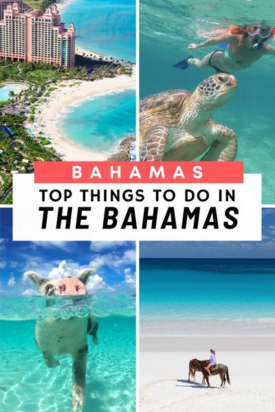 Things To Do In Bahamas, Pink Sands Beach, Bahamas Travel Guide, Carribean Travel, Exuma Island, Pig Beach, Bahamas Resorts, Paradise Island Bahamas, Exuma Bahamas