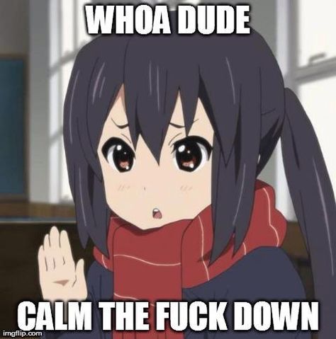 Calm the f down Anime Meme Face, Response Memes, Anime Mems, Meme Gato, Shall We Date, Anime Expressions, 5 Anime, Snapchat Funny, Funny Anime