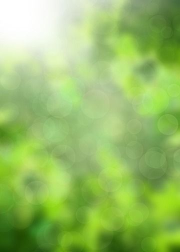 sunny defocused,nature,sunny,background,blur,bokeh,leaf,day,ecology,focus,sunlight,defocused,bright Blur Nature Background, Out Of Focus Background, Sunny Background, Wood Table Background, Mushroom Background, Background Blur, Spa Bar, Nature Background Images, Table Background